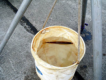 110703tika01.jpg(43063 byte)