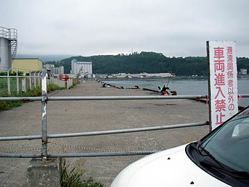 110713ironai.jpg(28829 byte)