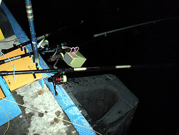 110713led.jpg(28512 byte)