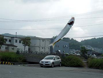 110728iwasi01.jpg(20743 byte)