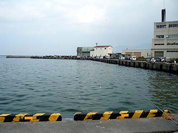 110728kunoji.jpg(24096 byte)