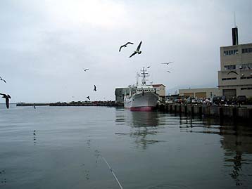 110728nyuusenn.jpg(16622 byte)