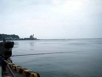 110728umaya.jpg(14442 byte)