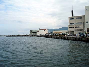 110801kunoji.jpg(23994 byte)