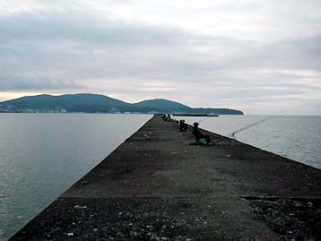 110801minamihidari.jpg(18945 byte)