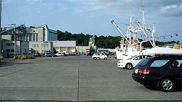 110811hidari.jpg(22560 byte)