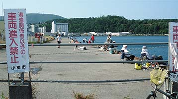 110811ironai.jpg(27220 byte)