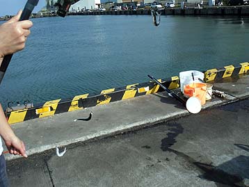 110811katakuti.jpg(29041 byte)