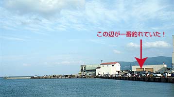 110811kunoji.jpg(17277 byte)