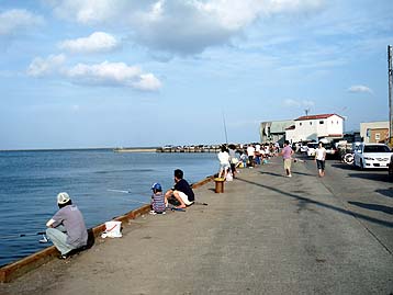 110811kunoji02.jpg(23367 byte)