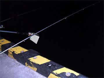 110811led.jpg(17576 byte)