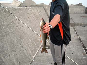 110814akahara.jpg(30088 byte)