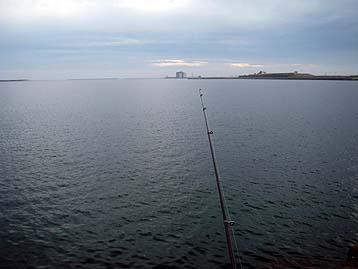 110814mae.jpg(17822 byte)