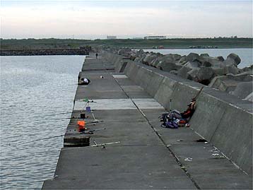 110814nisibousa01.jpg(24122 byte)