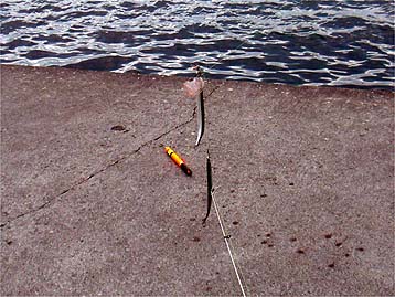 110814sayori.jpg(41542 byte)