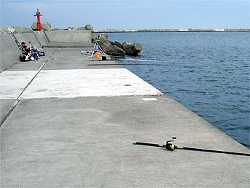 110814sentan02.jpg(24431 byte)