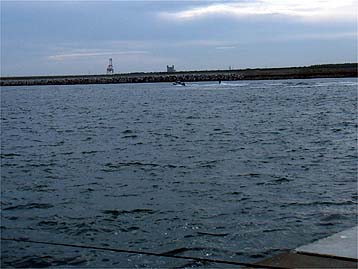 110814suki.jpg(24957 byte)