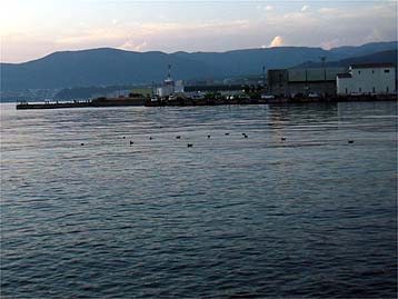 110820ironai.jpg(24990 byte)