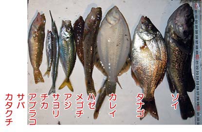 110916gyosyu.jpg(33513 byte)