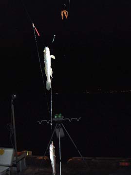 110916haze02_1852.jpg(12210 byte)