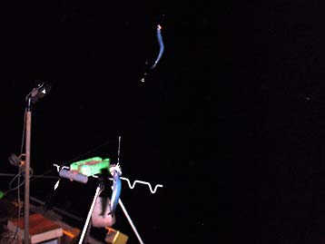 110916katakuti03_1937.jpg(12907 byte)