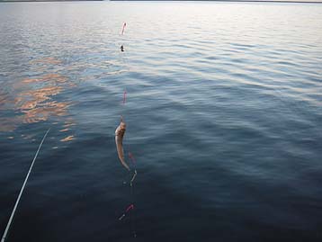 110925haze03_1707.jpg(18144 byte)