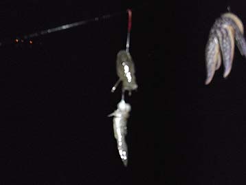 110925haze04_1947.jpg(10364 byte)
