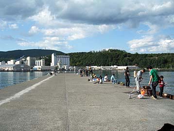 110925hidari_1457.jpg(26917 byte)