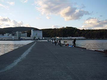110925hidari_1656.jpg(19722 byte)