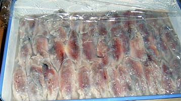 110925suduke.jpg(24860 byte)