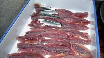 110925suduke02.jpg(25559 byte)