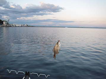 110925tanago_1716.jpg(18455 byte)