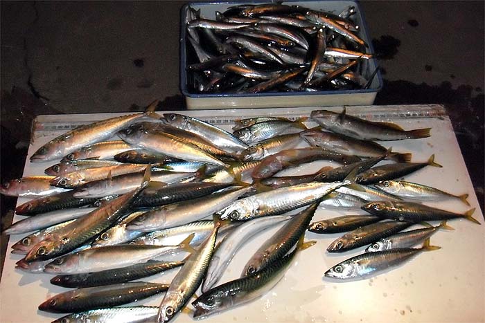 111004.jpg(81655 byte)