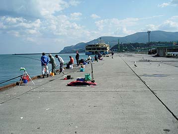 111004ferry_1212.jpg(24400 byte)