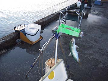 111012_0555maiwasi.jpg(28965 byte)