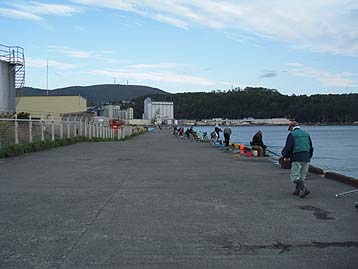 111012_0752hidari.jpg(20528 byte)