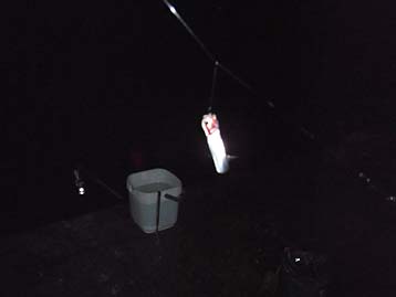 111016_0511katakuti.jpg(9145 byte)