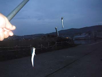 111016_0540katakuti.jpg(12753 byte)