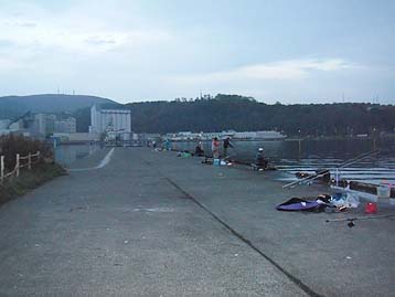 111016_0557hidari.jpg(17982 byte)
