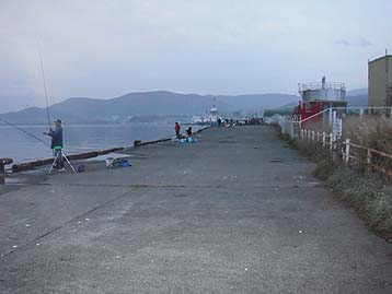 111016_0557migi.jpg(17585 byte)