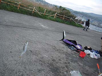 111016_0656sabakatakuti.jpg(28305 byte)