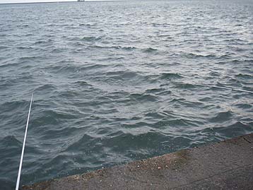 111016_0808.jpg(31011 byte)
