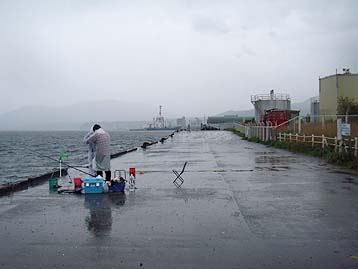 111016_0843migi.jpg(17680 byte)