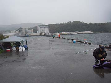 111016_0844hidari.jpg(17375 byte)