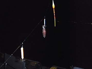 111031_1749mame.jpg(10557 byte)