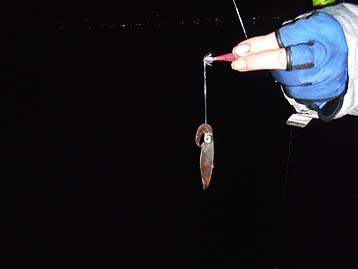 111031_1942mame.jpg(12527 byte)