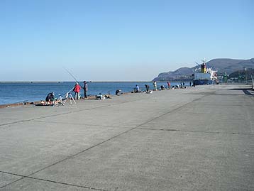 111110_1305.jpg(17752 byte)
