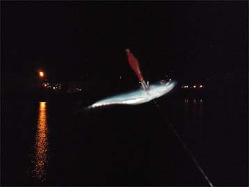 111110_1845saba.jpg(11448 byte)