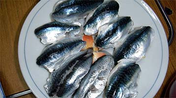 111110susi02.jpg(27491 byte)