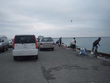 111129_1439hidari.jpg(16532 byte)